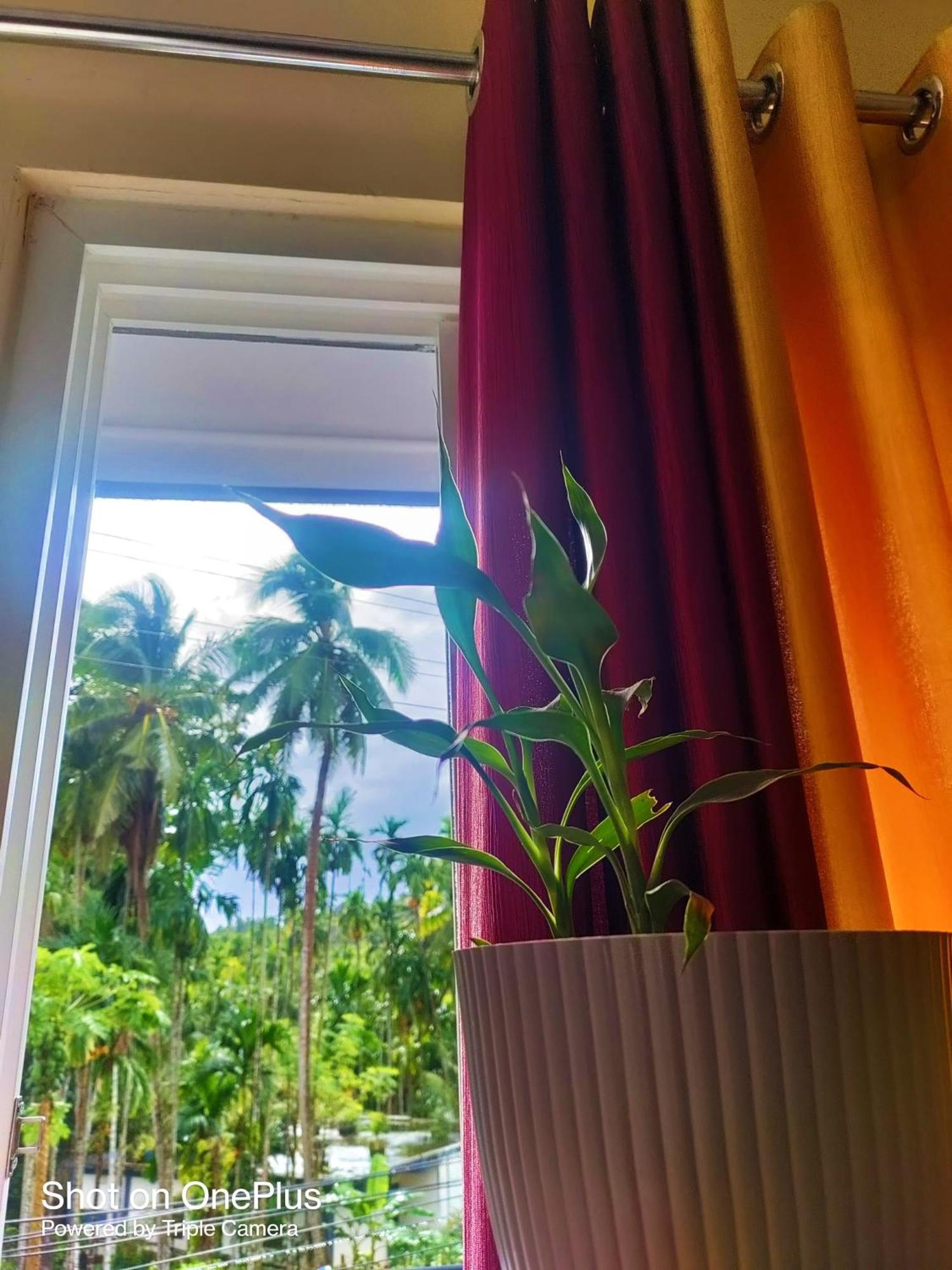 Haven Garden Homestay Port Blair Exterior foto